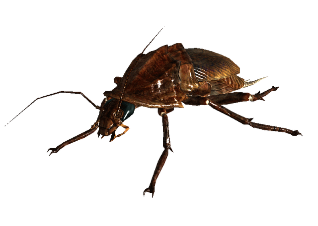 File:Radroach.png