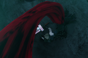 VincentRedCloak