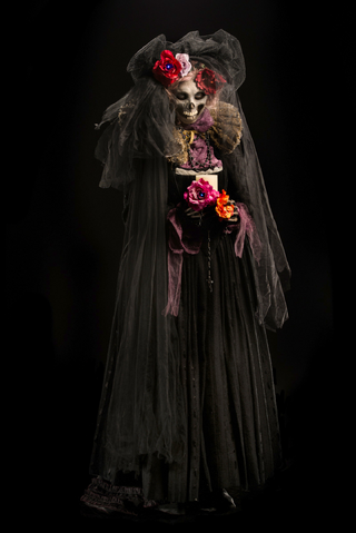 File:Miranda Skeleton.png