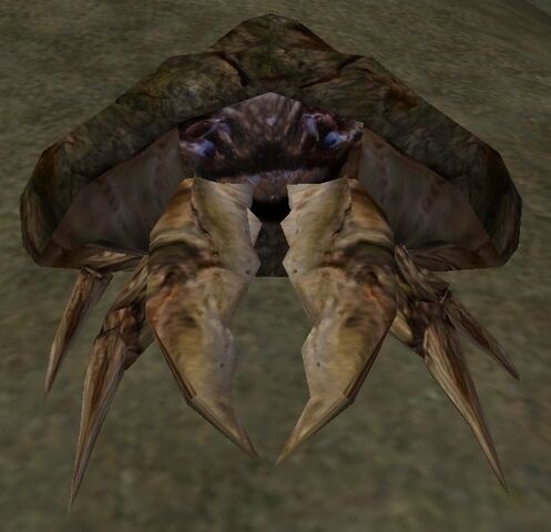 File:Morrowind Mudcrab.jpg