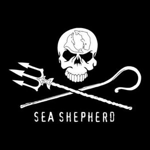 Sea Shepherd.jpg