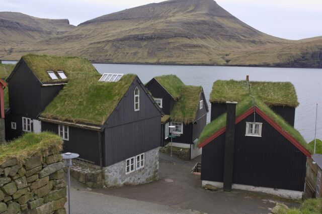 Plik:Bøur.jpg