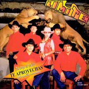 Limite95-2