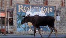 968full-northern-exposure-poster