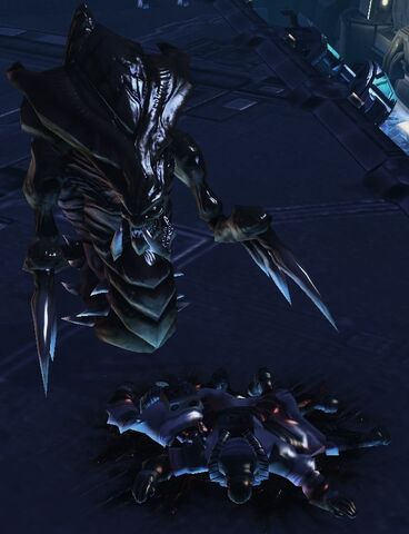 File:Hydra.jpg