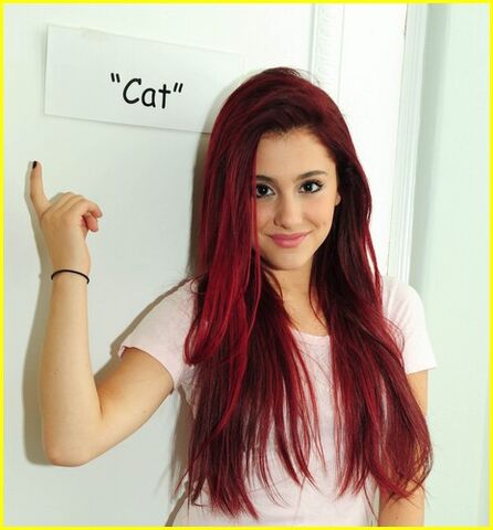 File:Ariana-3-ariana-grande-24458602-465-500.jpg