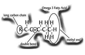 Omega3fa