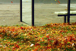 Bus stop-202