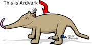 Ardvark The Aardvark Original