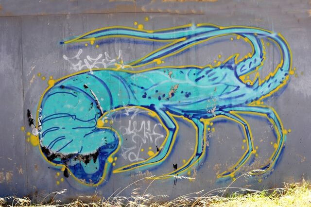 File:CRAYFISH.jpg