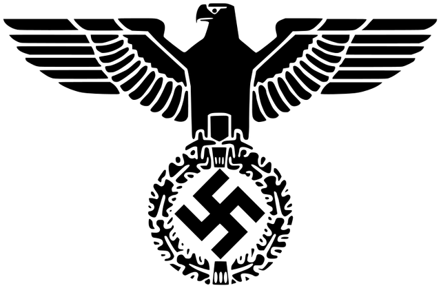 File:Evilhawk.png