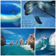 Ui sea
