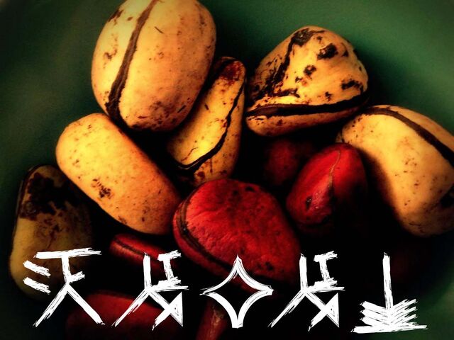 File:Kola nut proverb.jpg