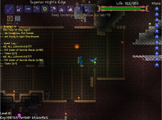File:Bug 1.jpg