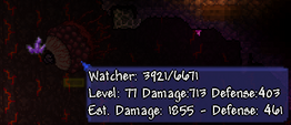 Watcher