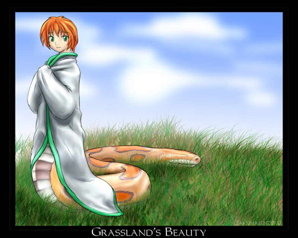File:Grasslands Beauty.jpg