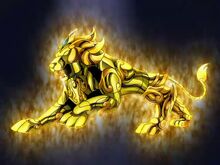 Cloth de Leo