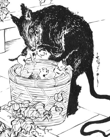 File:Kyuuso(species).jpg