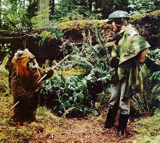 File:Wicket leia.jpeg