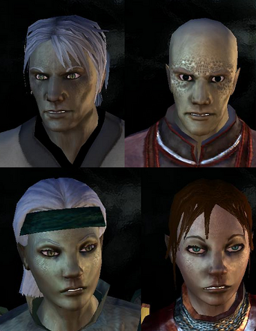 File:Yuan Ti Purebloods.png