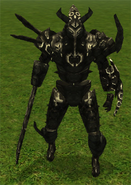 Sp tortise shell