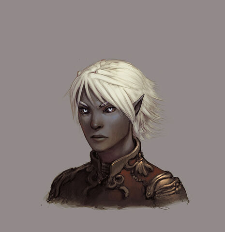 File:Drowfemhead1.jpg