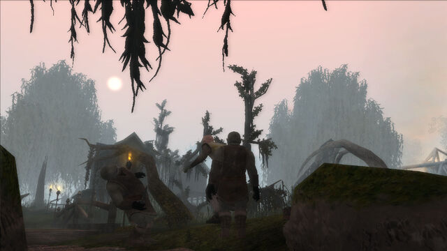 File:Neverwinternights24.jpg
