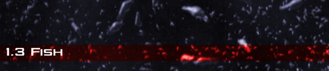 File:Elogium190.jpg (692×530).png