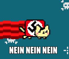 NeinCat