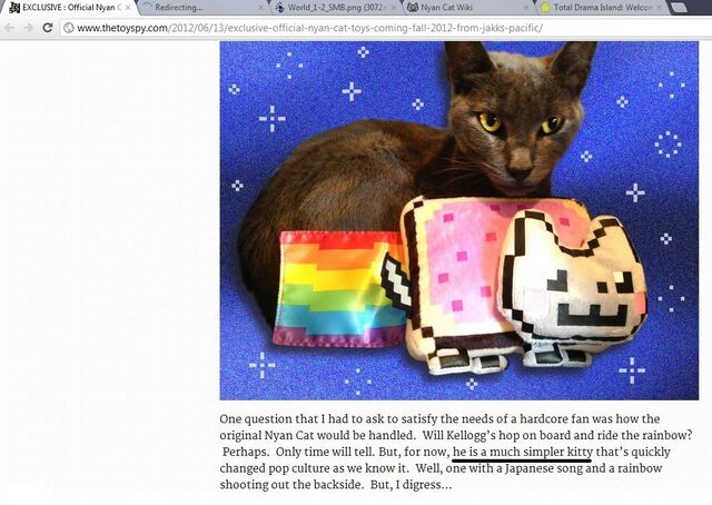 File:Nyan Cat Boy proof.jpg
