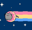 Donutcat