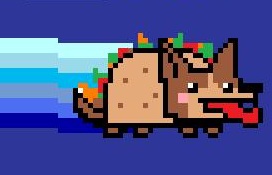 File:Tacodog.jpg