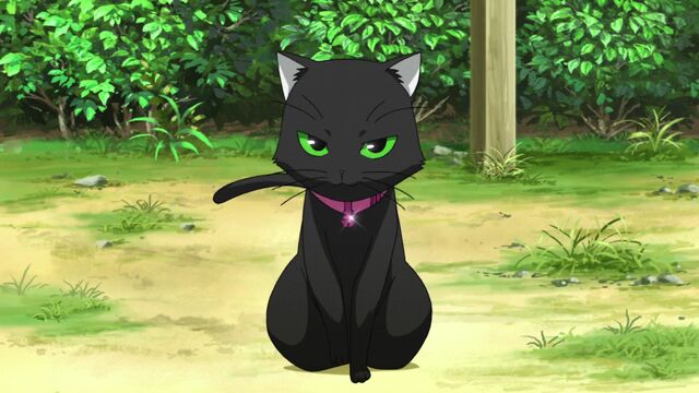 File:Zerochan.Noir.(Nyan.Koi).207776.jpg
