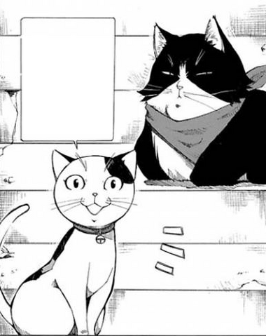 File:Tama & nyamsus.png