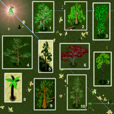 Treesofoberin