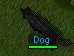 Black Dog