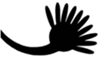 File:10 fingers.png