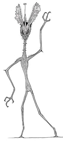 File:Veggieman2.jpg