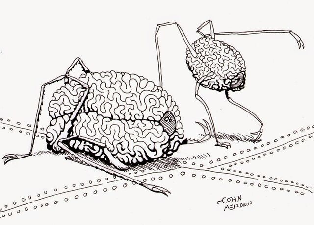 File:Brains.jpg