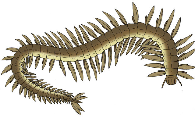 File:Conrit.jpg