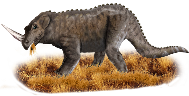 File:Emela3.png