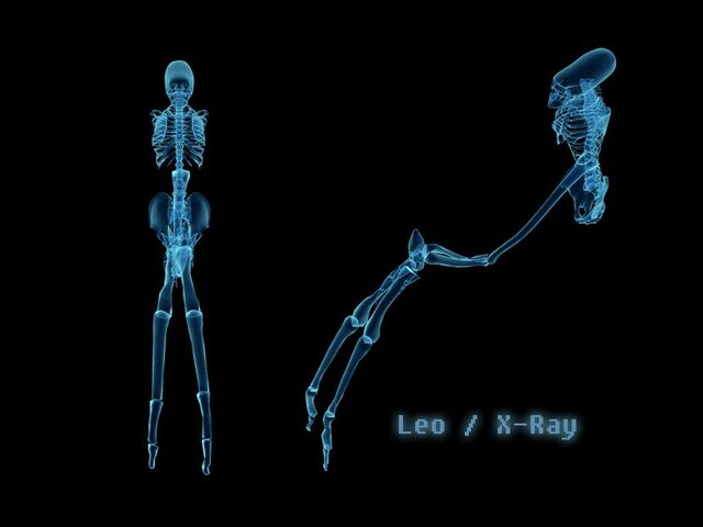 File:Bonus leo.jpg
