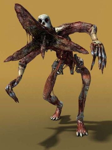 File:ArbolTrebol.jpg