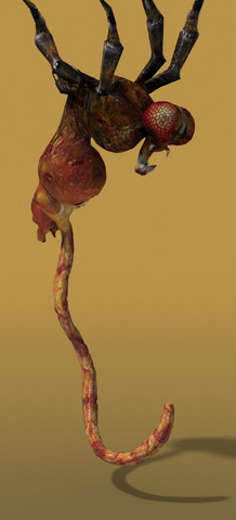 File:CrawlerFly.png