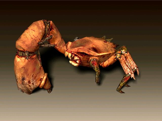 File:Boh2.jpg