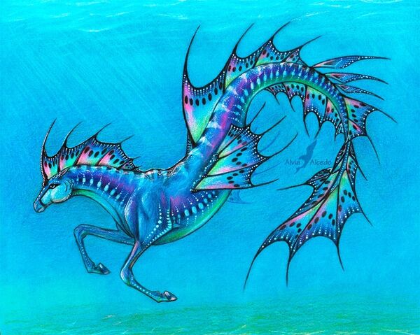 File:Hippocampus - merhorse.jpg