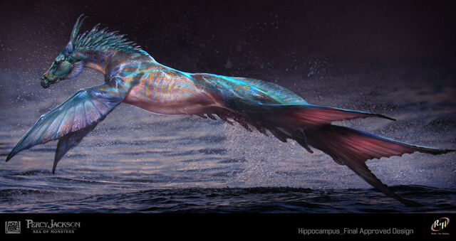 File:Hippocampus - Sebastian Meyer-29.jpg