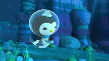 Images-0