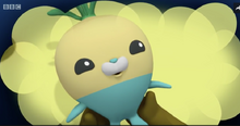Baby tunip