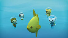 Images (17)